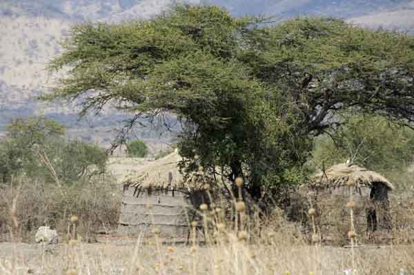02 - Tanzania - poblado Masai